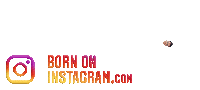 Samarthahirrao123Boi Sticker by BORN ON INSTAGRAM
