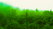 lord of the rings GIF