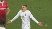 sv werder bremen bundesliga GIF