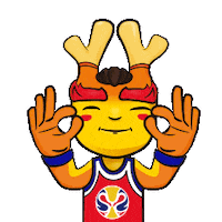China Love Sticker by FIBA