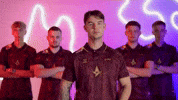 Team Fall GIF by BLAST
