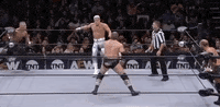 Cody Rhodes Bunny GIF by All Elite Wrestling on TNT