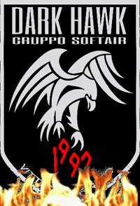 darkhawkgsa 1992 hawk airsoft asg GIF