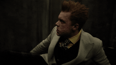 fox tv GIF by Gotham