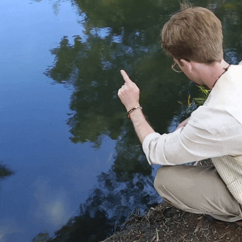 Video gif. A man kneels in front of a still pond and touches the water with a finger, causing ripples. Text appears in the ripples, reading, "Good Morning."