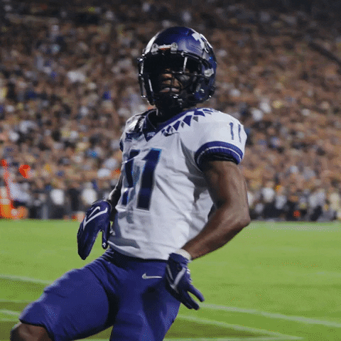 Horned Frogs GIF by TCU Football