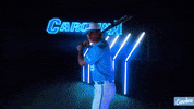 North Carolina Baseball GIF by UNC Tar Heels