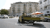 viceland GIF by HUANG'S WORLD