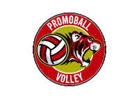 Volley Flero Sticker by PROMOBALL