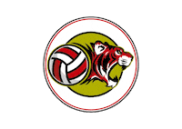 Volley Flero Sticker by PROMOBALL