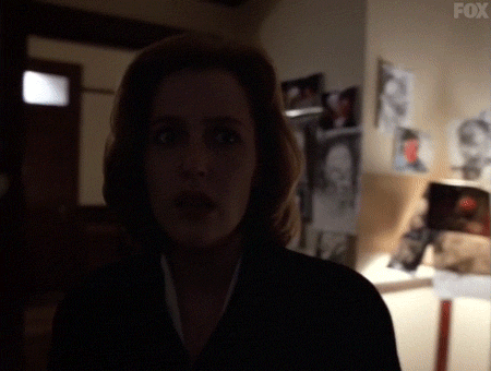 x files GIF by The X-Files