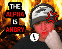 Sanelios angry sanelios alpha angry the alpha is angry GIF