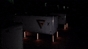 Arizona Logistics GIF by FreightVana