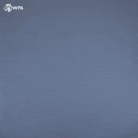 Tennis Pose GIF by WTA