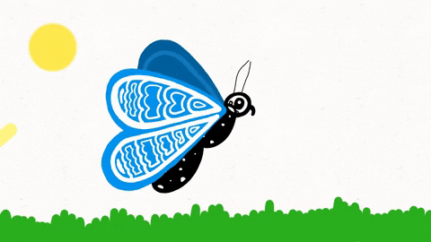 Illustration Flying GIF