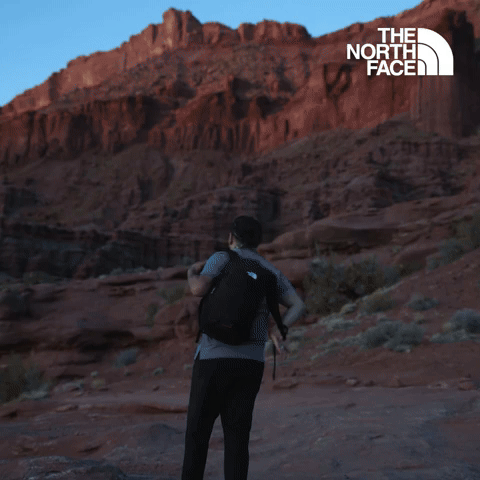 Have You Ever - The North Face