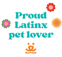 Mi Casa Pets Sticker by Best Friends Animal Society