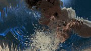 finding nemo pixar gif GIF by Disney Pixar