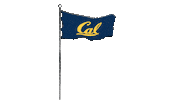 College Sports Win Sticker by Cal Athletics