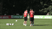 effzeh GIF by 1. FC Köln
