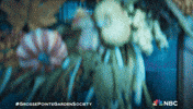 Season 1 Episode 7 Surprise GIF by NBC
