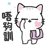 Cat Car Sticker