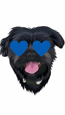 pupandrunning giphyupload love heart eye pup and running GIF