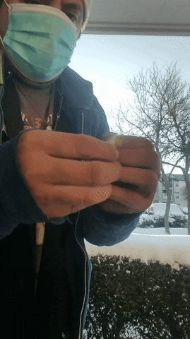 TheApocalypse giphyupload GIF
