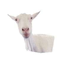 Goat Fries Sticker by Omrop Fryslân