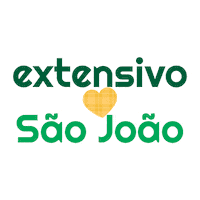 colegioextensivo escola educacao colegio sao joao Sticker