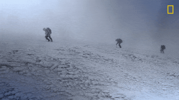 Nat Geo Explorer GIF by National Geographic Channel