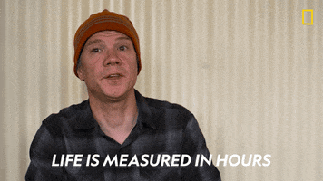 Nat Geo Life GIF by National Geographic TV