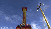 Theme Park What GIF