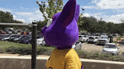 ACCDistrict selfie atx riverbat rb the riverbat GIF