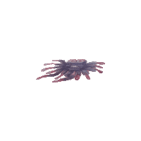 Heart Love Sticker