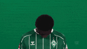 Werder Bremen GIF by Bundesliga