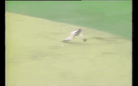 wasko_ltd giphygifmaker new york mets new york mets GIF