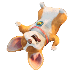 mocoaifay giphyupload animation dog cartoon Sticker