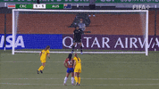 Sport Soccer GIF by Football Australia
