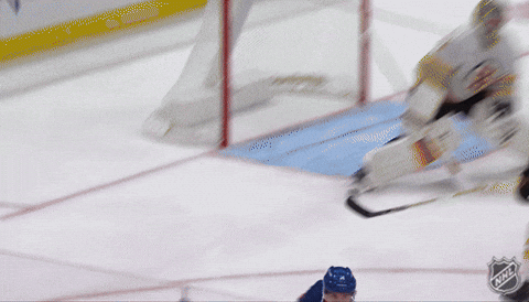 Happy New York GIF by NHL