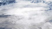 Halo 5 GIF by Xbox