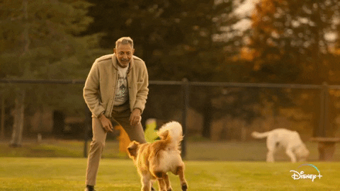 Jeff Goldblum Dogs GIF by National Geographic Channel