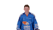 Hockey Van Sticker by UNIS Flyers