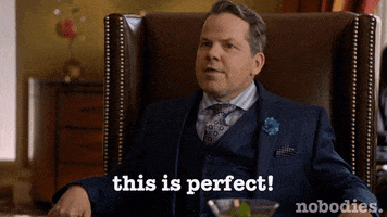 this is perfect tv land GIF by nobodies.