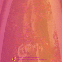 Frases Negocios GIF by Jacqueline M.Q.