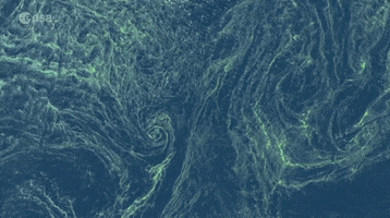 climate change animation GIF