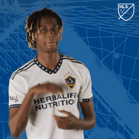 Stop It No More GIF by Major League Soccer