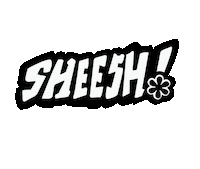 Sheesh Sticker by Gandc