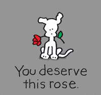 chippythedog love i love you rose chippythedog GIF