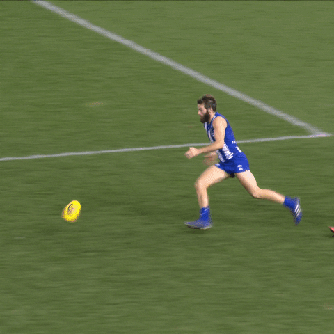 North Melbourne Afl GIF by NMFCOfficial